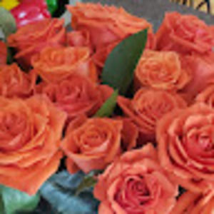 Meet your Posher, Mary